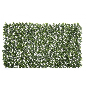 ACOPERIREA BALCONULUI LAUR SALCIE SALCIE